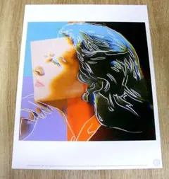 【世界100部限定】アンディ ウォーホル リトグラフ ライザ・ミネリ 2025年最新】Andy Warhol 版画の人気アイテム - メルカリ