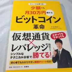 トレードは週1回!少額でも月30万円儲かるビットコイン革命