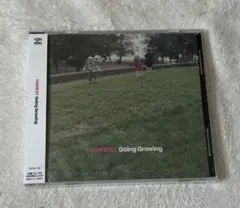 Going Growing HONEST 最新アルバム 美品 はピザオブデス