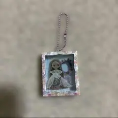 Blythe ブライス ミニチュアパッケージコレクション