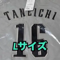 千葉ロッテマリーンズ レプリカ ユニフォーム NCE Lサイズ 16番 種市篤暉