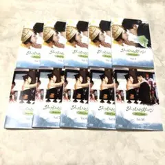 シークレット・ガーデン　DVD10巻セット　ヒョンビン