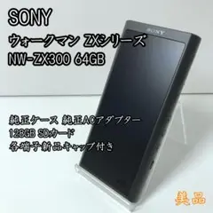 SONY WALKMAN NW-ZX300 クリアケース・純正ケーブル付き SONY WALKMAN NW-ZX300 クリアケース・純正ケーブル付き