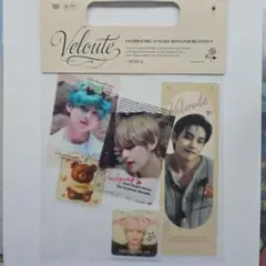 BTS テテbutterfly dream 展示会 生写真 V テテ レア BTS テテbutterfly dream 展示会 生写真 V テテ レア