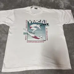 90s Tシャツ シングルステッチ YMCA フルーツオブザルーム