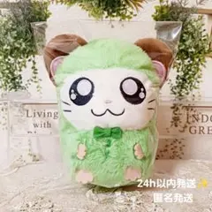 とっとこハム太郎 ぬいぐるみ ～みんなでパジャマパーティーなのだ かぶるくん ④