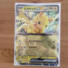 【非売品】ポケモンスタンプラリー2025 カード(ジャンボカードのみ)