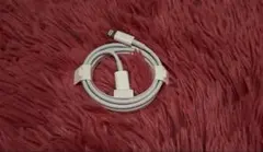 Apple iPhone 純正 ライトニングケーブル 充電コード