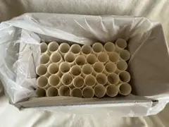 工作材料用 トイレットペーパーの芯 40本