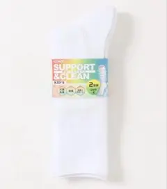 Item thumbnail for item 3f6a2ba8-6eb6-401b-8d98-7a5b6350b2f4