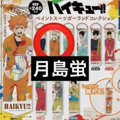 ハイキュー!! ペイントスーツガーランドコレクション