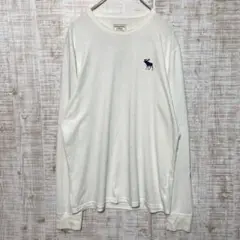 Abercrombie & Fitch メンズTシャツ長袖Lサイズs160h78