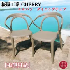 【未使用品】CHERRY エルパソ ダイニングチェア グリーン 2脚セット①