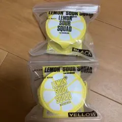 EXILE公式レモンサワースクワッド ショッピングバッグBOOK 2種