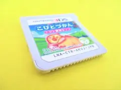 3DS こびとづかん こびと観察セット