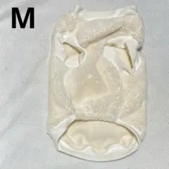 Item thumbnail for item 740b3b65-f447-4893-bca1-03fa95cb2b1c