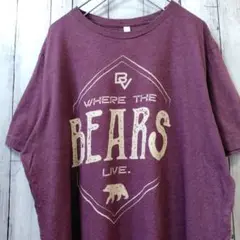 CANVAS BEARS アニマル ビッグサイズ Tシャツ ワイン系 XL 古着