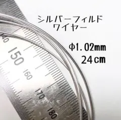 Item thumbnail for item aa9ce49a-10ad-4508-8189-9ebf5f7946a9