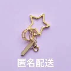 HASHIBAMI モチーフカラビナ キーリング スター　ゴールド