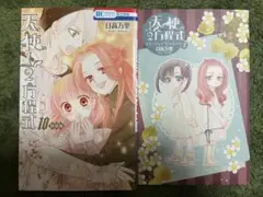 天使1/2方程式 　10巻特装版 　日高万里