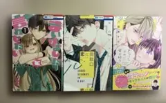 少女漫画３冊まとめ売り　最終価格9／２まで