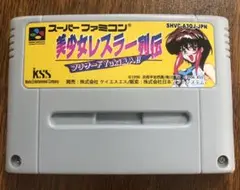 SFC美少女レスラー列伝 ブリザードYuki乱入!!