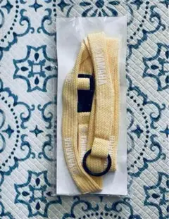 Item thumbnail for item 36debaea-53b3-4403-9ff5-e3fb542627f9