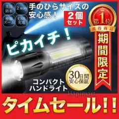 再入荷 最安2個セット 高輝度 USB 充電式 懐中電灯 LED 超小型 sl2