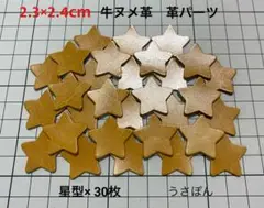 【アリニン牛ヌメ】星型 タグ型抜★2.3×2.4cm30枚〈キャメルウイスキー〉
