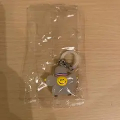 TRUZ めじるしアクセサリー ROMY