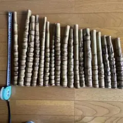 布袋竹ーー12
