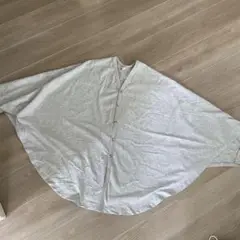 Item thumbnail for item 1b21c17a-3a0a-4aa5-98f7-7ab5bdbd4568