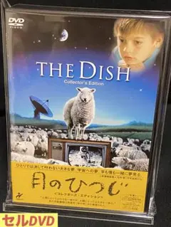 洋画／映画／DVD／ヒューマンドラマ／サム・ニール／月のひつじ