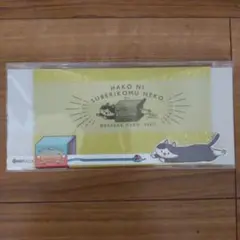 猫が箱の中にすべり込むメッセージカード