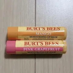 Item thumbnail for item 5e140d89-2eac-49ca-b8ff-ee49c8092a0c