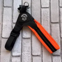 Item thumbnail for item 0f7de2a9-e7c5-4613-97af-2c072bdbd72e