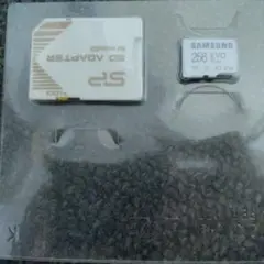 Samsung Micro SD EVO Plus 256GB