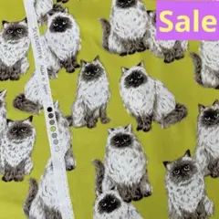 【特価】オックス　可愛い　猫柄　ヒマラヤン　ライム色　ハンドメイド生地　A