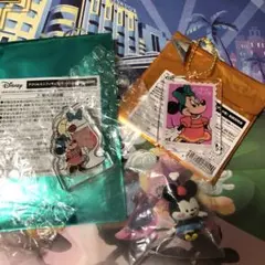 ミニーアクリルキーホルダー　ミニフィギュア　カナヘイコラボ　ミニーガチャ　セット