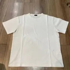 JOSEPH ホワイト シンプルTシャツ サイズ50