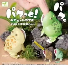 A-73　コンプ　パクっと！バジェットガエル　全4種　ガチャ　蛙　カエル