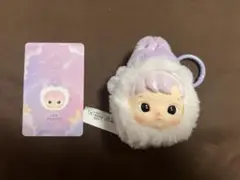 ハチププ　星座