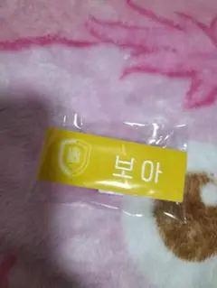 SMTOWN LIVE in Tokyo ネームバッチ