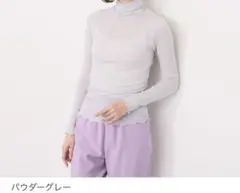 ヘ・エラ 日本製　抗菌防臭・消臭 極上メリノウール１００％ ロールネックインナー