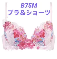 【B75M】ワコール❤︎ルジェ ハッピーFITブラ&ショーツ PI