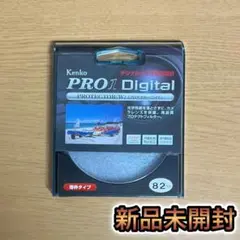 Item thumbnail for item 9f190344-2466-4042-a439-fd831c6b5fca