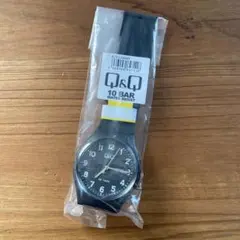 新品 日本未発売 シチズン チープシチズン シンプル