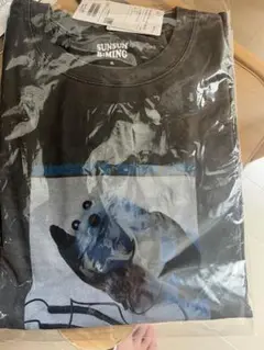 BEAMS Tシャツ パペットスンスン コラボ　XL