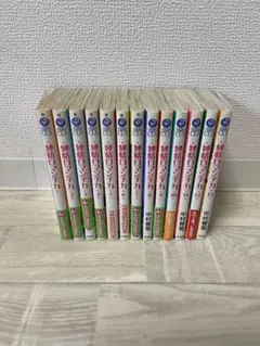 純情ロマンチカ　1〜12巻