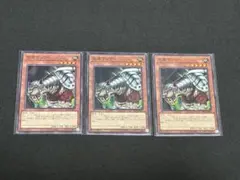 王虎ワンフー　22TP３枚セット